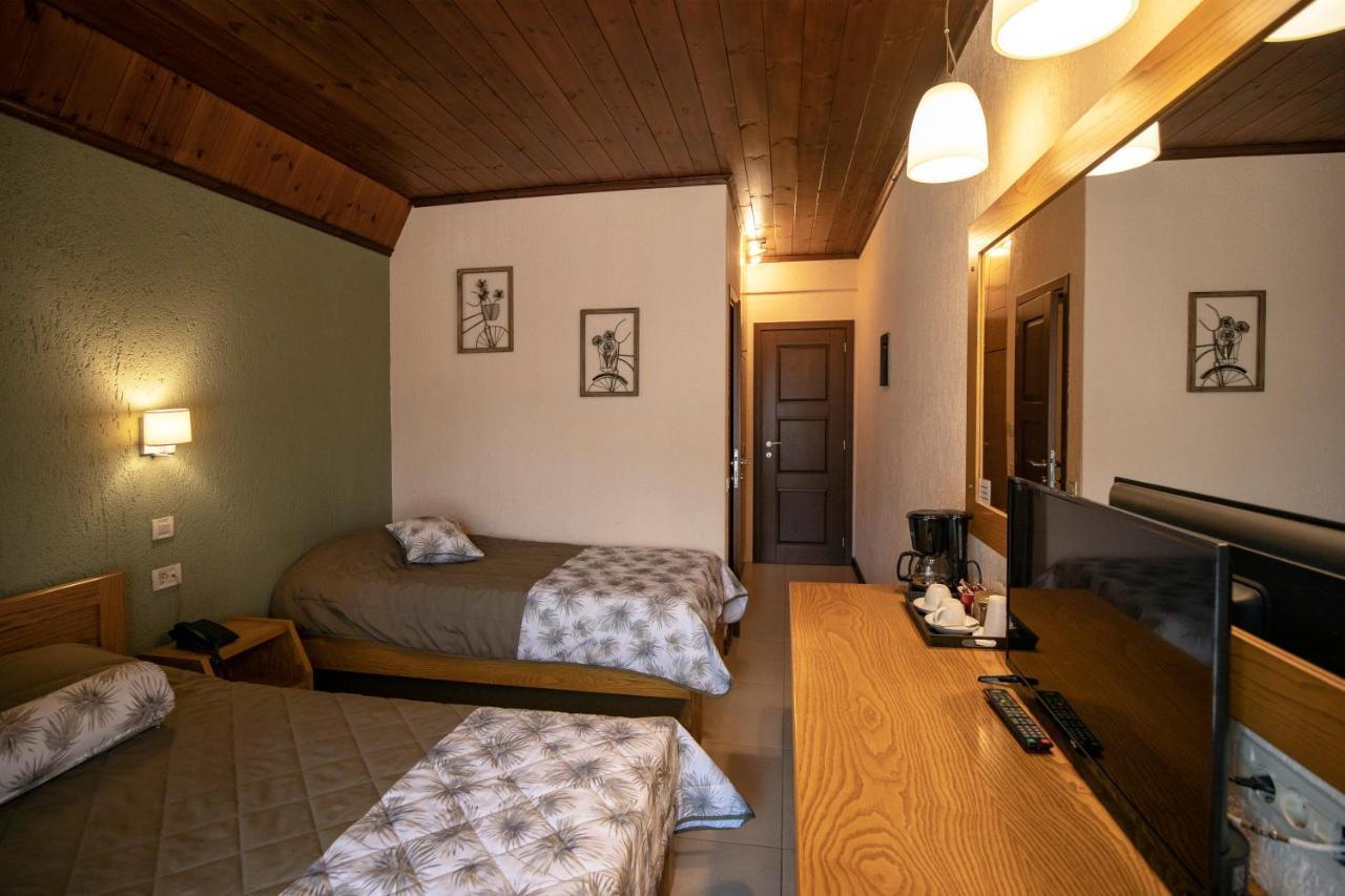 Asimina Guesthouse, Eptalofos Parnassos ภายนอก รูปภาพ