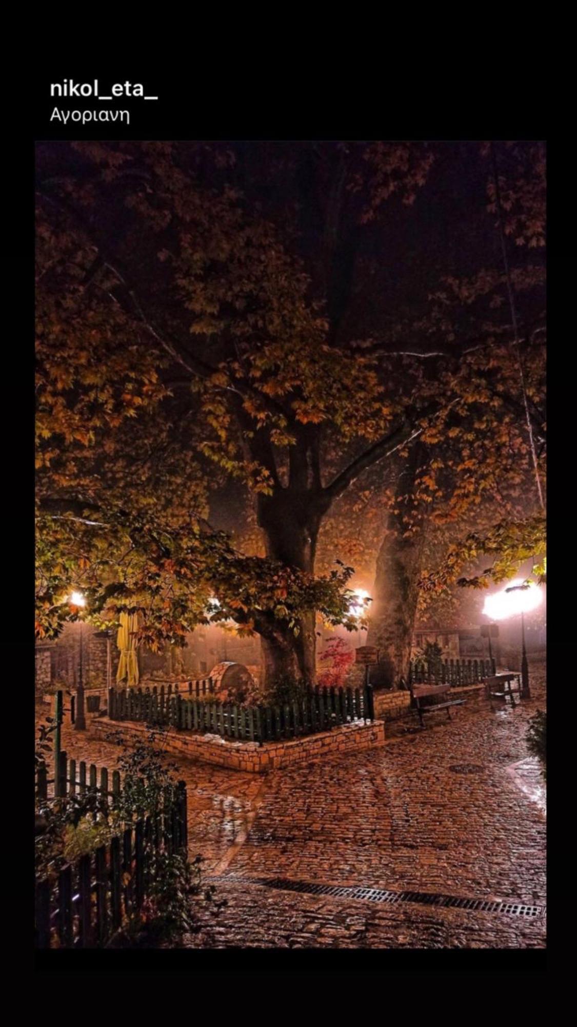 Asimina Guesthouse, Eptalofos Parnassos ภายนอก รูปภาพ