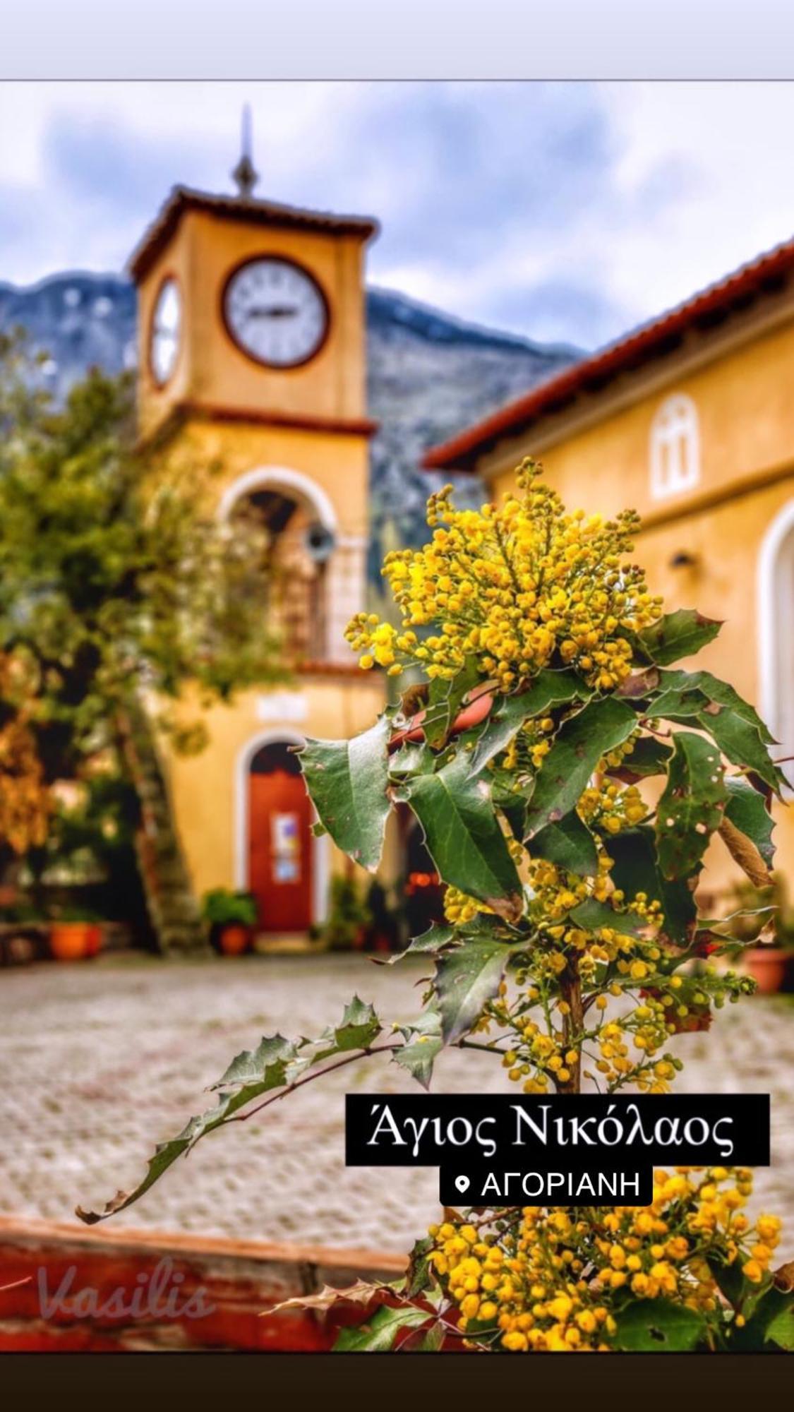 Asimina Guesthouse, Eptalofos Parnassos ภายนอก รูปภาพ