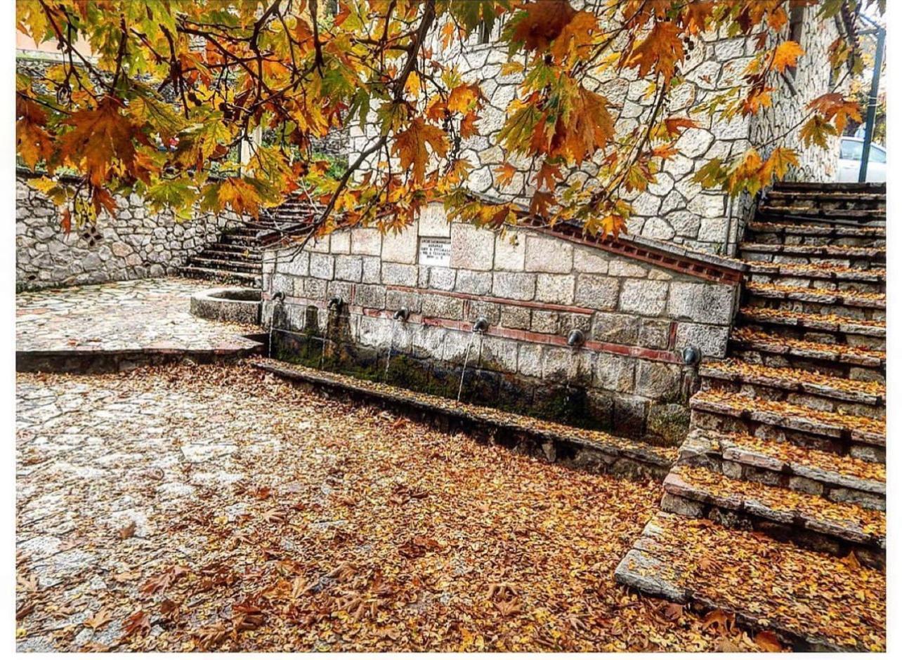 Asimina Guesthouse, Eptalofos Parnassos ภายนอก รูปภาพ