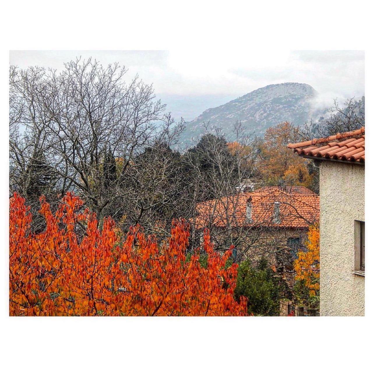 Asimina Guesthouse, Eptalofos Parnassos ภายนอก รูปภาพ