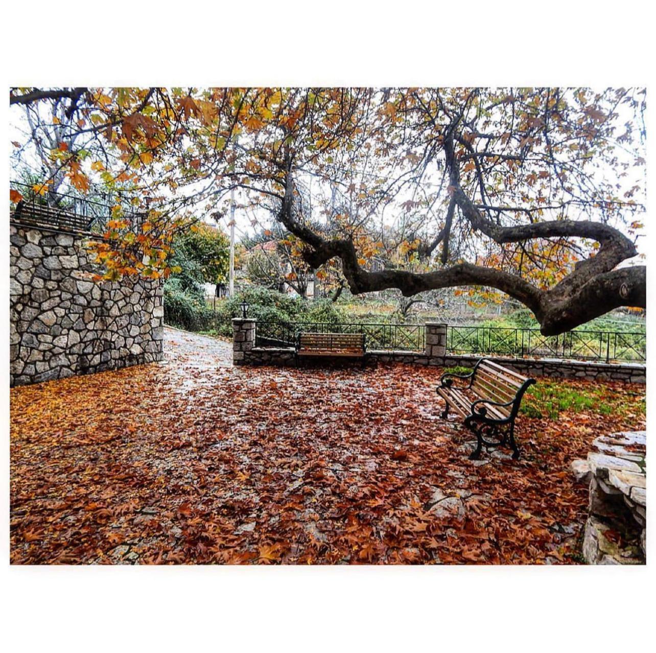 Asimina Guesthouse, Eptalofos Parnassos ภายนอก รูปภาพ