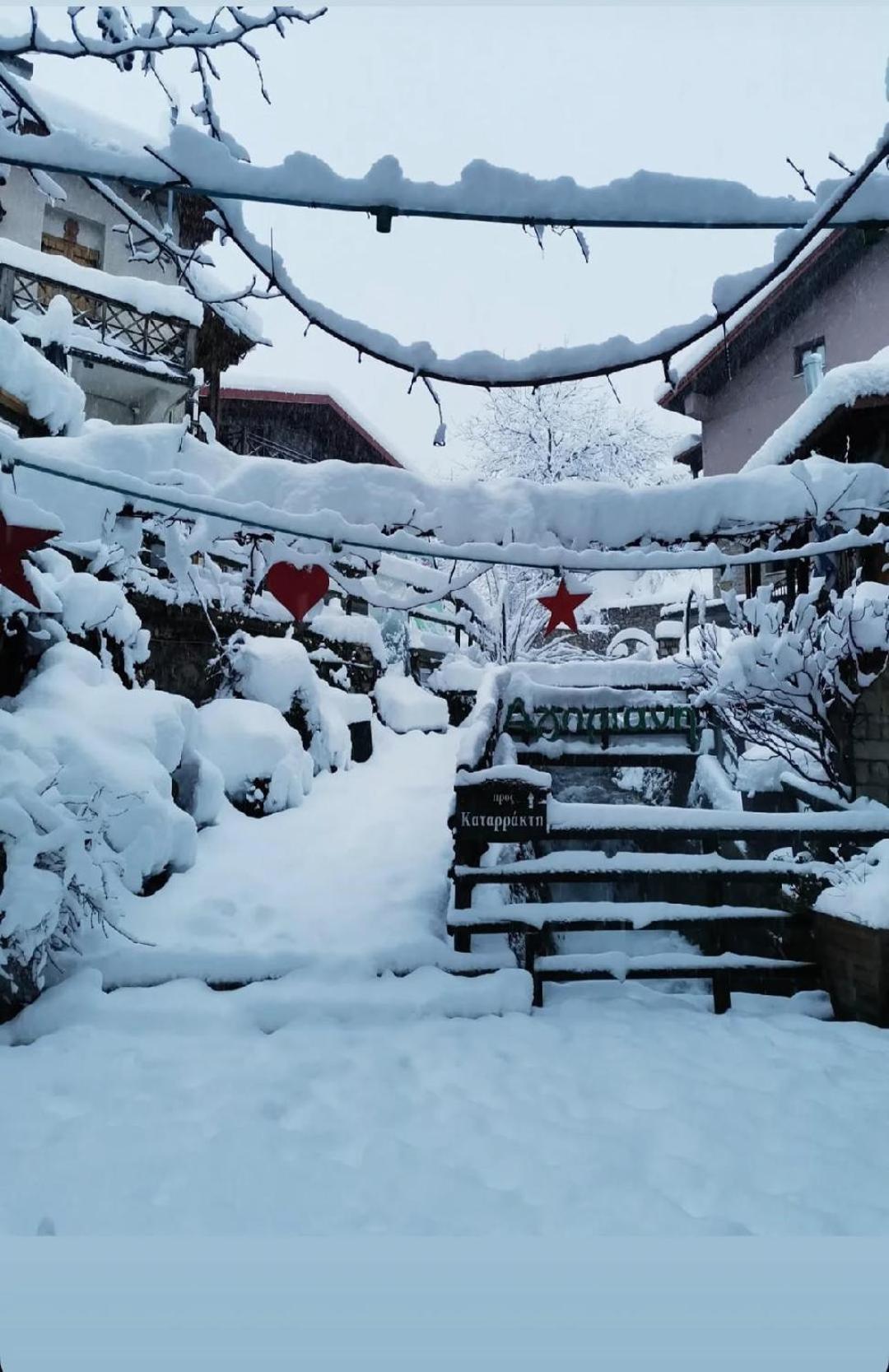 Asimina Guesthouse, Eptalofos Parnassos ภายนอก รูปภาพ