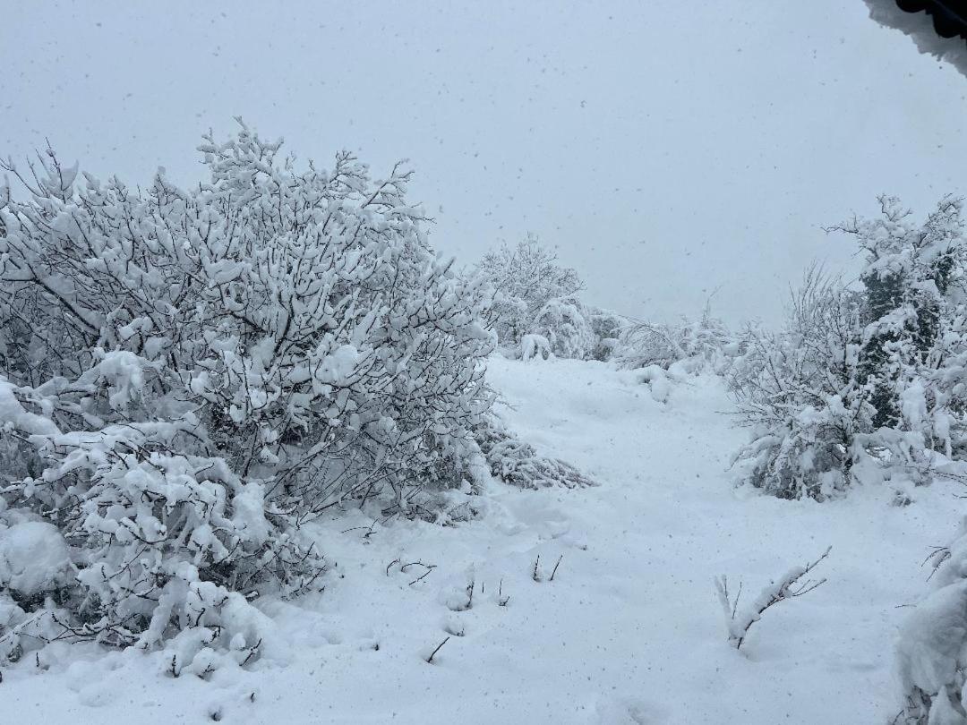 Asimina Guesthouse, Eptalofos Parnassos ภายนอก รูปภาพ
