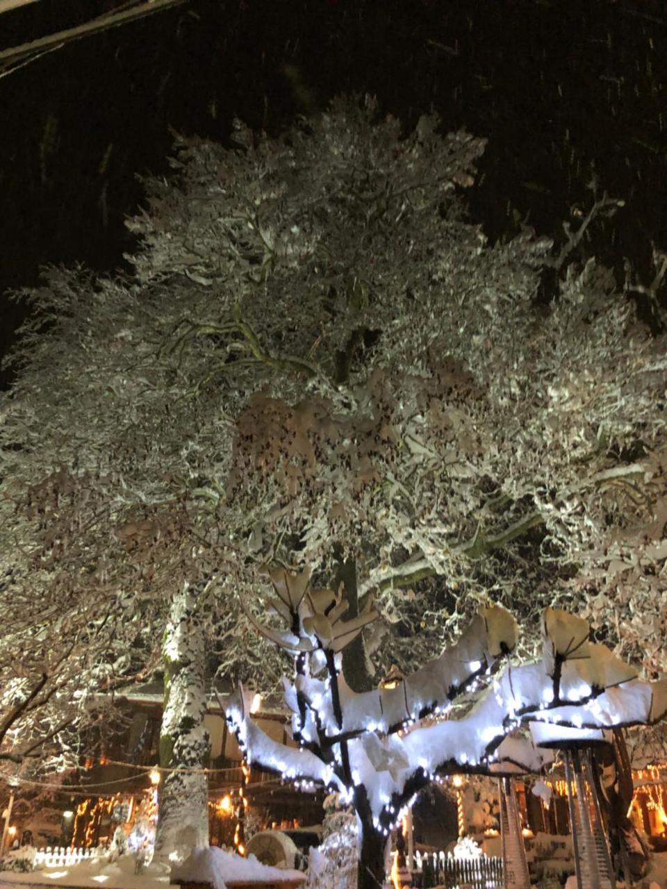Asimina Guesthouse, Eptalofos Parnassos ภายนอก รูปภาพ