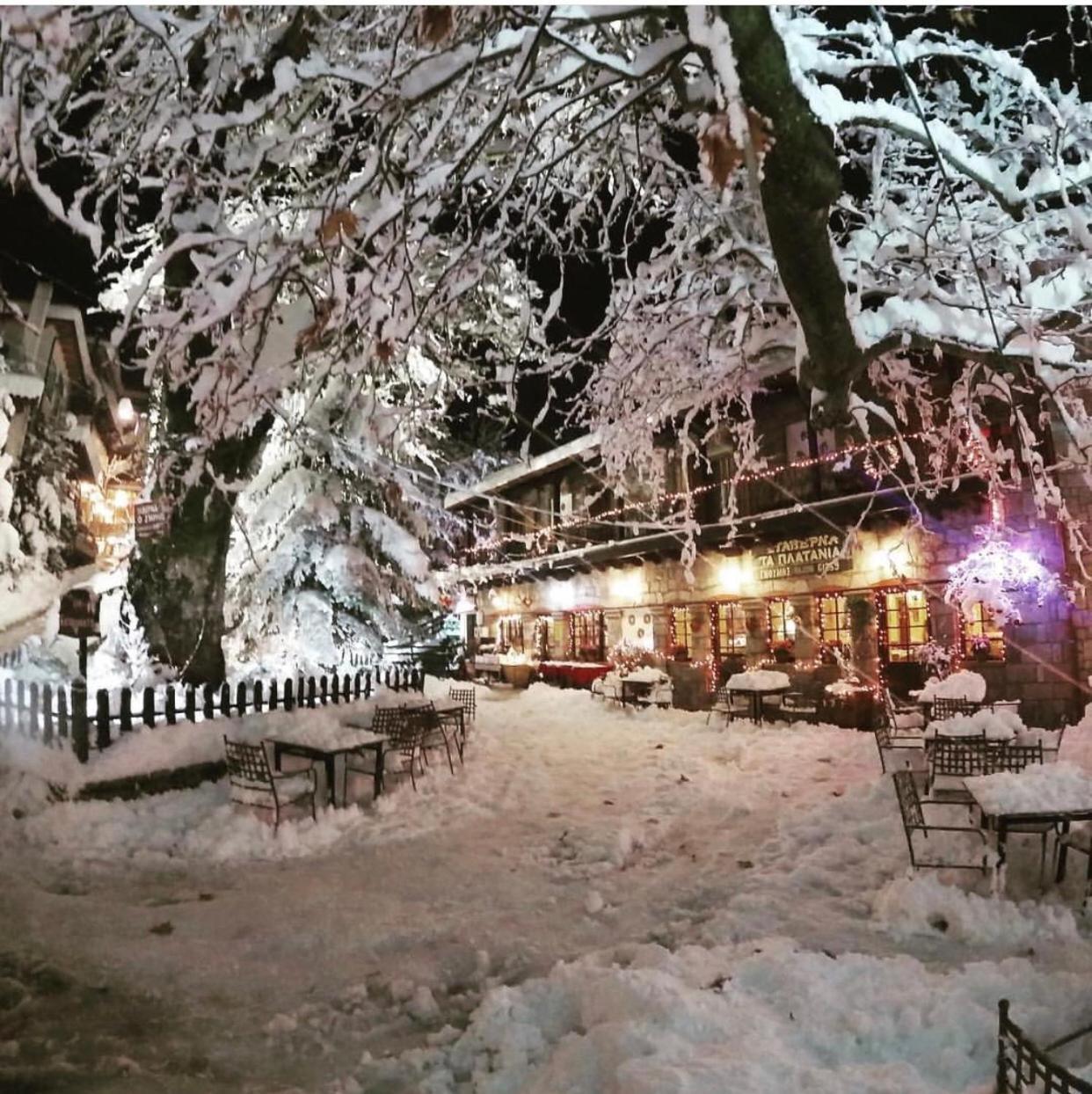 Asimina Guesthouse, Eptalofos Parnassos ภายนอก รูปภาพ